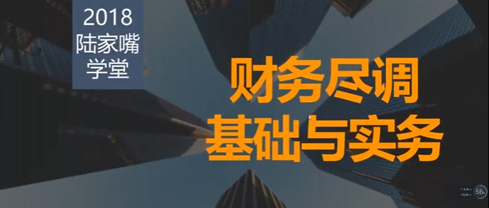 陆家嘴学堂刘敏财务尽调基础与实务-渡漳网
