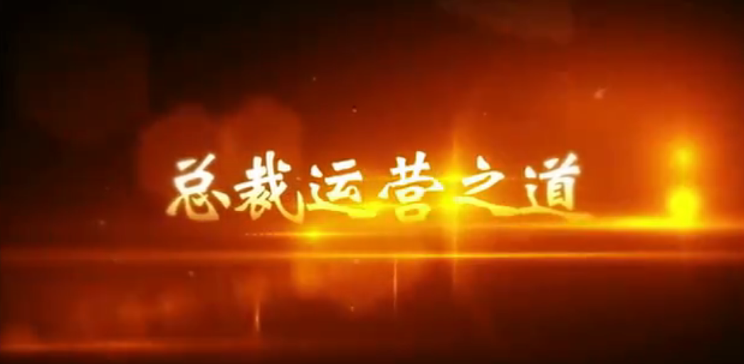 周文强总裁运营之道