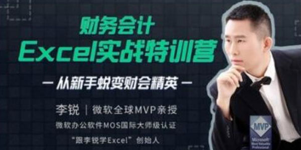 李锐财务会计Excel实战特训营-渡漳网