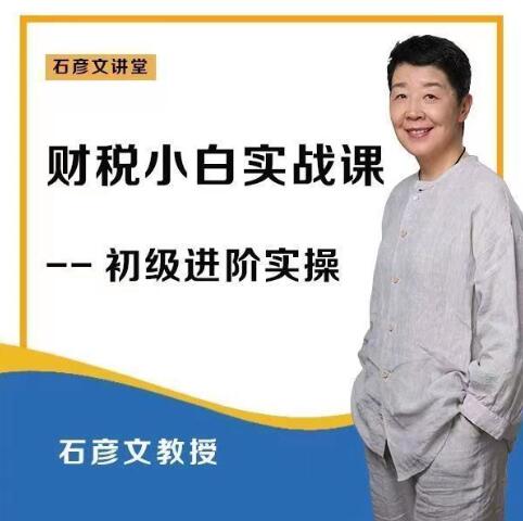 石彦文财税小白实战-渡漳网