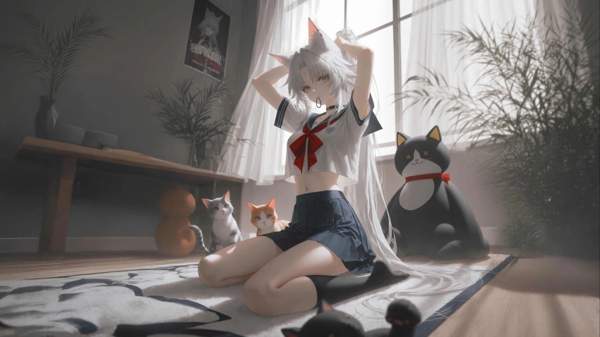 文章样式五：视频列表