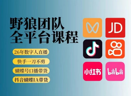 野狼团队多平台实操运营课-渡漳网