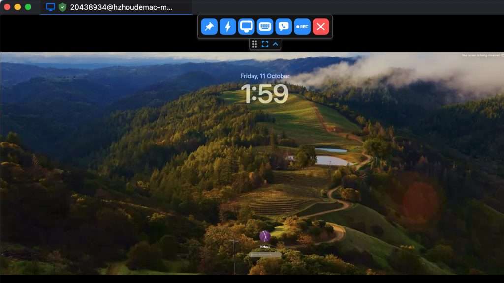 RustDesk跨平台远程控制Windows绿色版