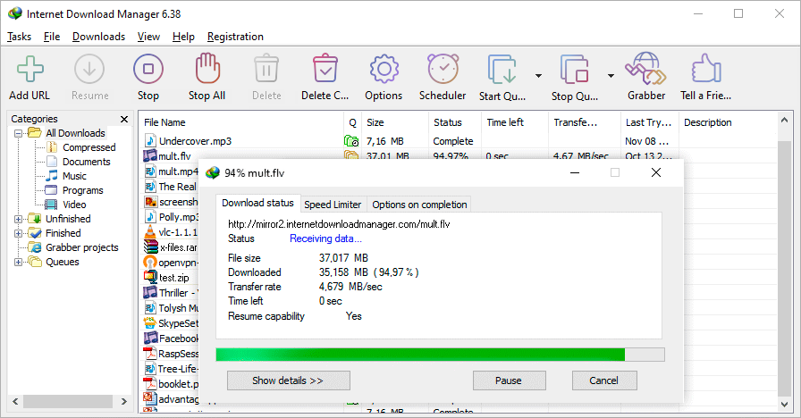 Internet Download Manager 