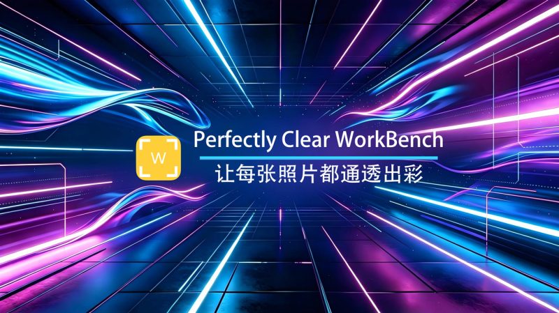 Perfectly Clear WorkBench Windows专业版-渡漳网