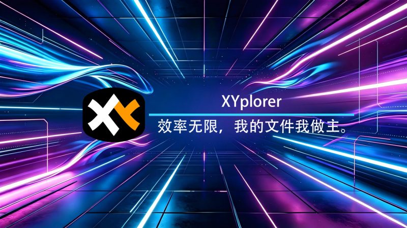 XYplorer Windows便携版-渡漳网