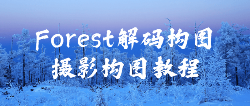 Forest解码构图摄影构图教程-渡漳网