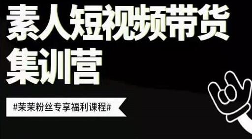 夜草与千里马《素人短视频带货集训营》培训课程视频-渡漳网