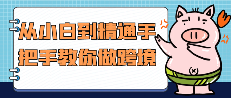 从小白到精通手把手教你做跨境-渡漳网