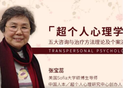 张宝蕊《超个人心理学》五大咨询与治疗方法理论及个案演示课程视频-渡漳网