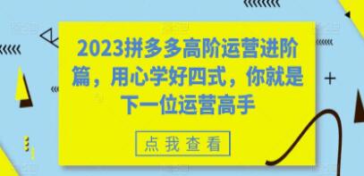 《拼多多高阶运营进阶篇》用心学好四式，你就是下一位运营高手-渡漳网