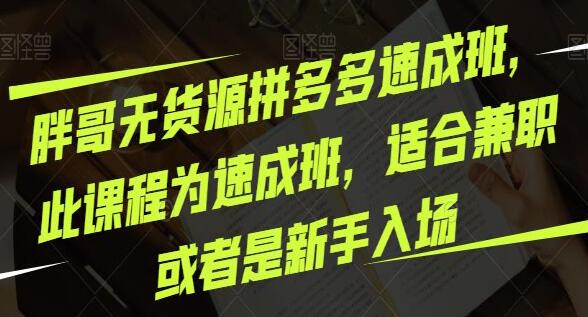 胖哥《无货源拼多多速成班》适合兼职或者是新手入场-渡漳网