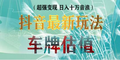 抖音最新无人直播变现《直播车牌估值玩法项目》轻松日赚几百-渡漳网