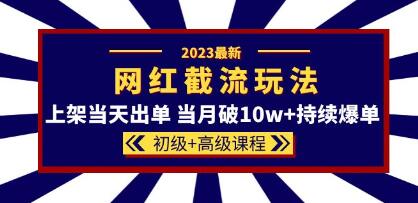 淘宝店铺运营《网红同款截流玩法》上架当天出单，当月破10w+-渡漳网
