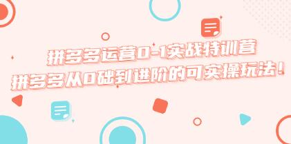《拼多多运营0-1实战特训营》拼多多从0础到进阶的可实操玩法-渡漳网