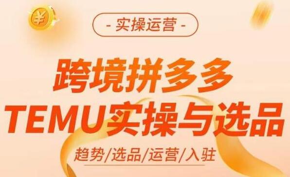 《拼多多跨境电商temu实操与选品》掌握平台运营方法技巧，爆款的底层思路等-渡漳网