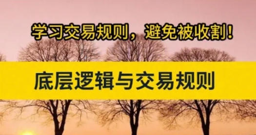 交易底层逻辑与交易规则 股市进阶必修课-渡漳网