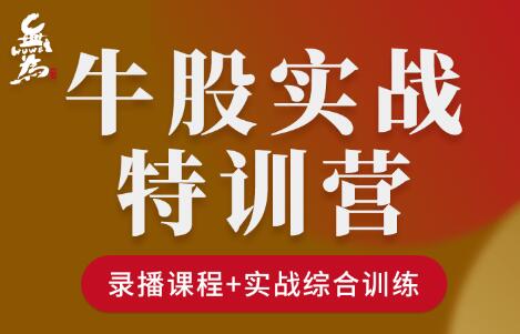 无为《牛股实操特训营》视频-渡漳网