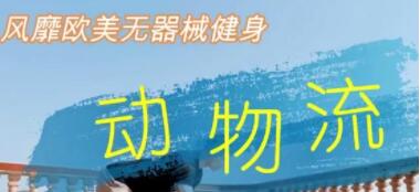 《动物流健身视频教程》风靡欧美无器械徒手健身，居家功能训练-渡漳网