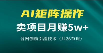 网创IP打造课，借助AI卖项目月赚5万+，含引流技术-渡漳网