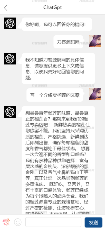 2023全新简易ChatGPT手机端源码 使用ChatGPT3.5版本 实测可用-渡漳网