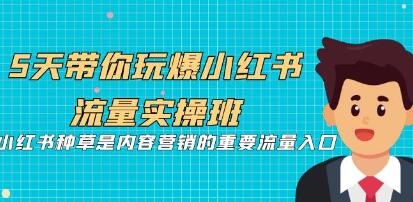 《5天带你玩爆小红书流量实操班》小红书种草是内容营销的重要流量入口-渡漳网