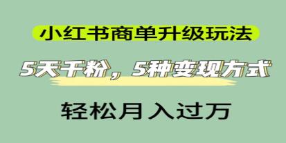 《小红书商单升级玩法》5天千粉,5种变现渠道-渡漳网