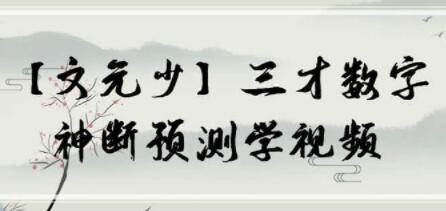 文元少《三才数字》神断预测学视频-渡漳网