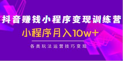 《抖音赚钱小程序变现训练营》小程序月入10w+各类玩法运营技巧变现-渡漳网