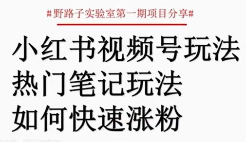 小红书视频号项目，直接上手操作，月入过万-渡漳网
