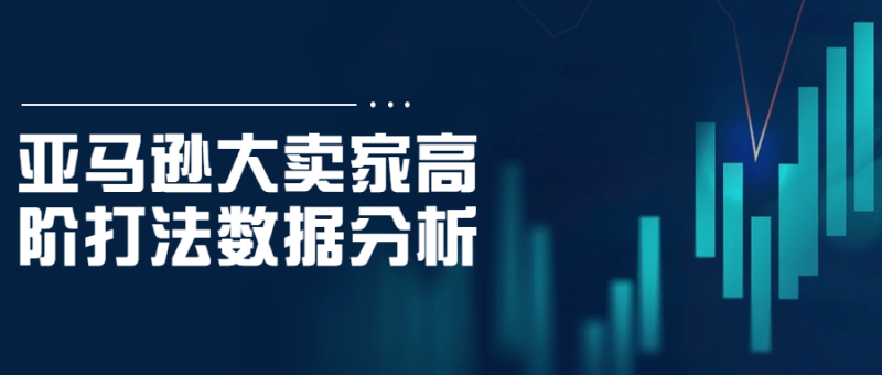 亚马逊大卖家高阶打法数据分析-渡漳网