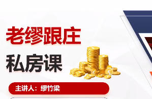 高阶妙手实战班 老缪跟庄私房课-渡漳网