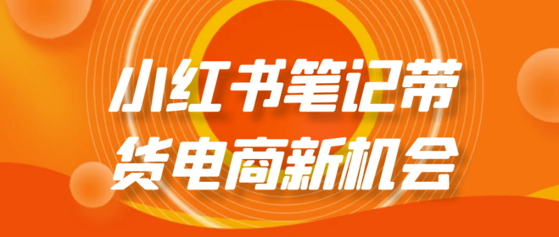 小红书笔记带货电商新机会-渡漳网