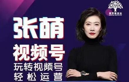 张萌《视频号实战训练营培训课程》轻松玩转视频号运营-渡漳网