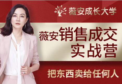【销售技巧】薇安28天销售高手训练营培训课程视频-渡漳网