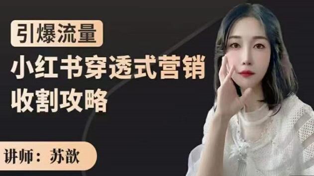 苏歆《小红书穿透式营销收割攻略》引爆流量，助你玩转小红书-渡漳网