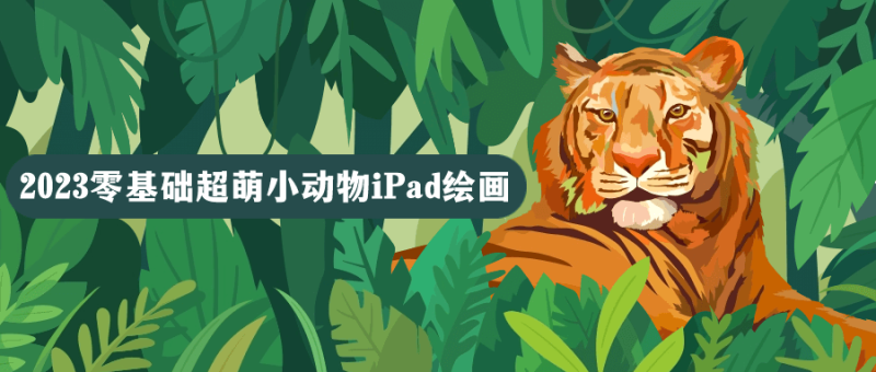 2023零基础超萌小动物iPad绘画-渡漳网