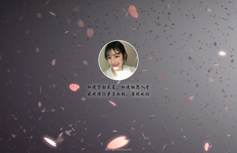 唯美情侣爱情表白纪念HTML单页-渡漳网
