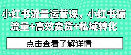 《小红书流量运营课》小红书搞流量+高效卖货+私域转化-渡漳网