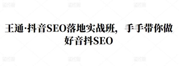 王通《抖音SEO落地实战班》教你如何做好抖音SEO-渡漳网