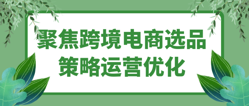 聚焦跨境电商选品策略运营优化-渡漳网