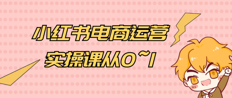 小红书电商运营实操课从0~1-渡漳网
