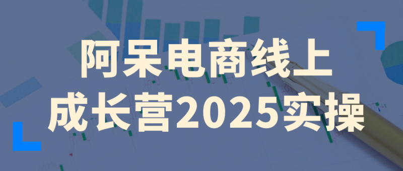阿呆电商线上成长营2025实操-渡漳网