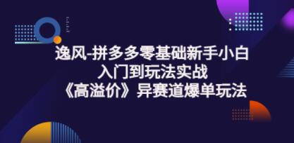 逸风《拼多多高溢价冷启动》异赛道爆单玩法实操课-渡漳网