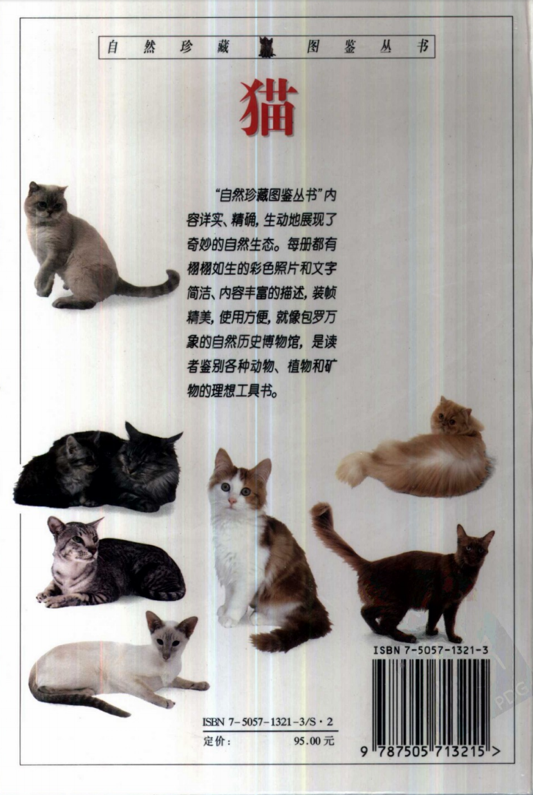 经典图鉴珍藏:猫