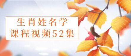 《生肖姓名学》视频教程-渡漳网