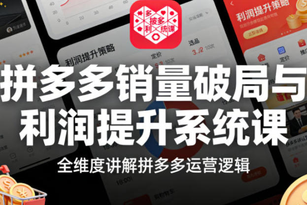 拼多多销量破局与利润提升系统课，全维度讲解拼多多运营逻辑-渡漳网