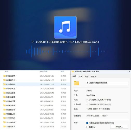 喜马拉雅付费音频课大合集 13个大类-渡漳网