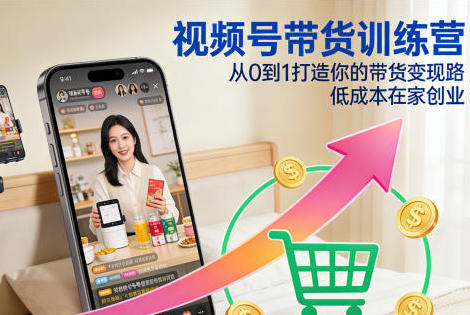 视频号带货训练营，从0到1打造你的带货变现路，低成本在家创业-渡漳网