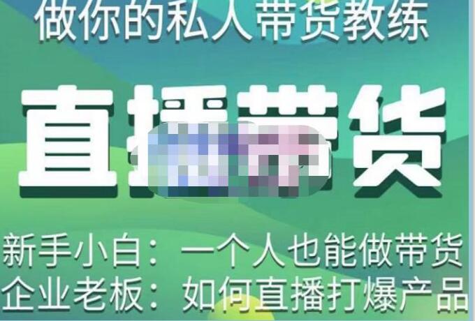 硬核传媒《直播带货实操实战教学》通俗易懂,学完后新手小白一个人也能做带货-渡漳网